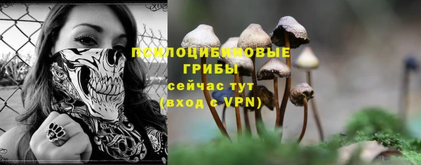 мескалин Баксан