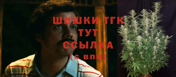 COCAINE Инсар