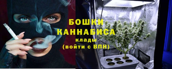 крисы Богородск