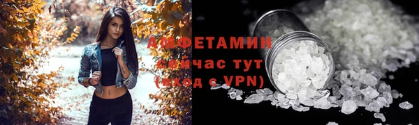 спиды Богородицк