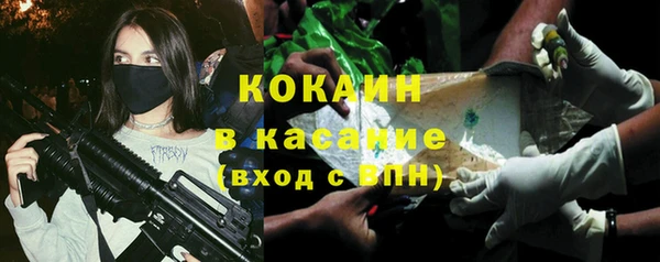 спиды Богородицк